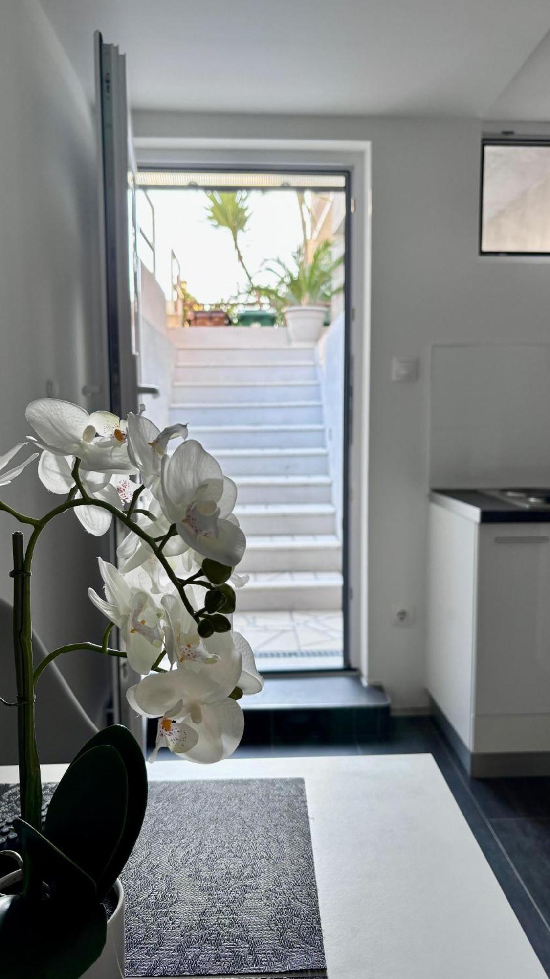 Apartman Branka *** Split Exterior foto
